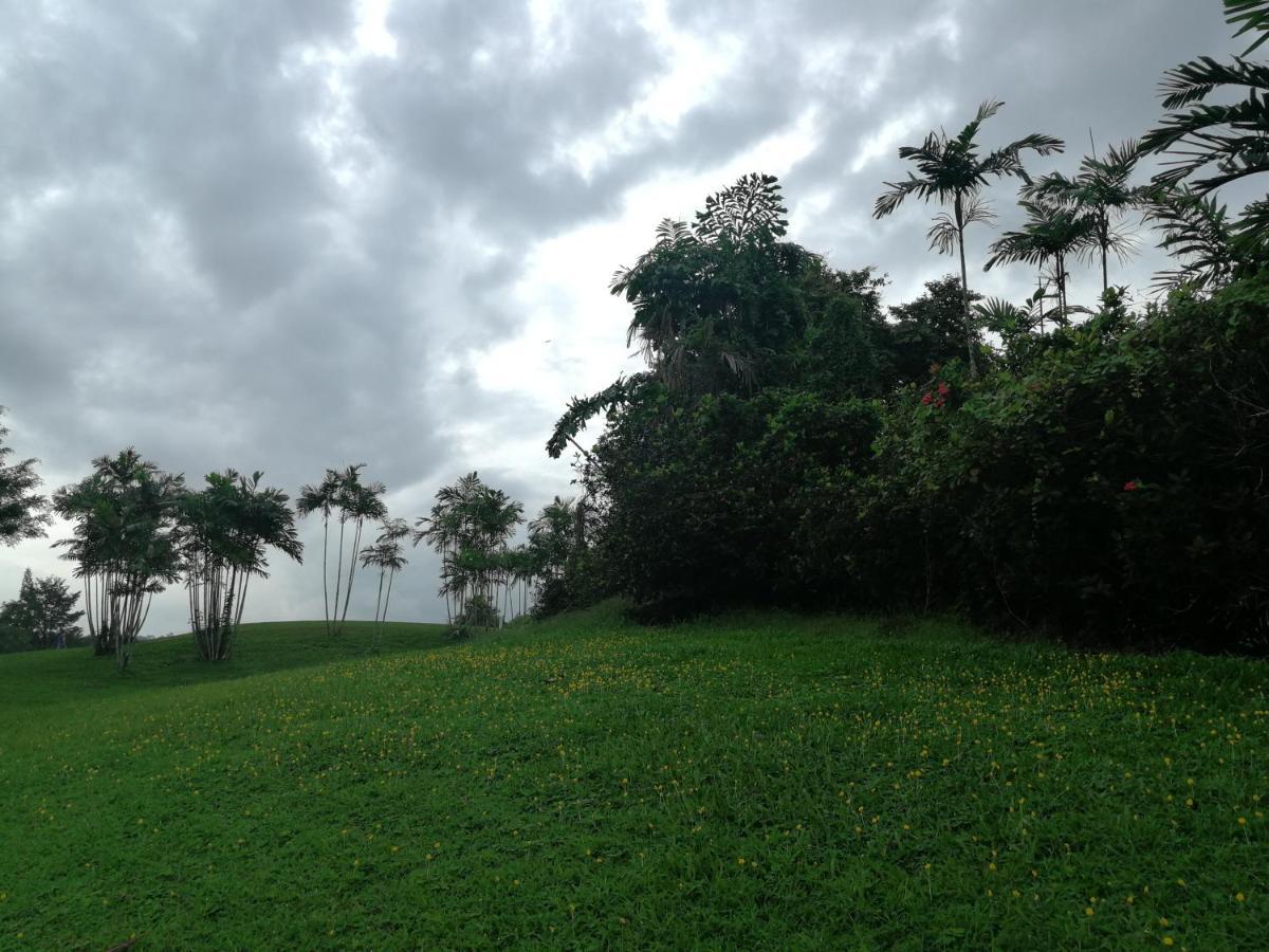 Fuxi Fruit Garden Villa Langkawi 富囍休闲度假水果园别墅兰卡威 Куа Екстериор снимка